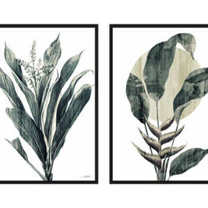 SketchUp模型丨模型库[装饰画]北欧简约植物丨ZSH000040