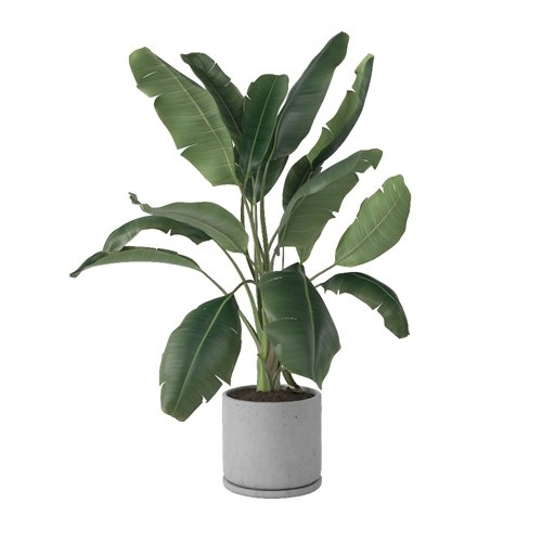 SketchUp模型库丨Vray模型丨植物丨SUBIM002ZW0007