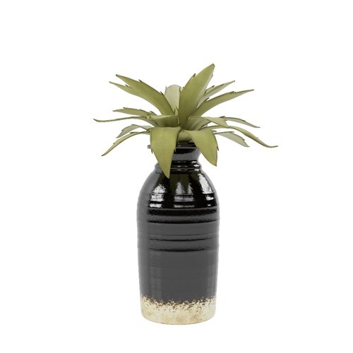 SketchUp模型库丨Vray模型丨植物丨SUBIM002ZW0020