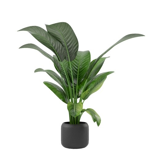 SketchUp模型库丨Vray模型丨植物丨SUBIM002ZW0025