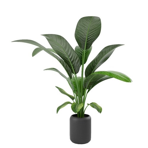 SketchUp模型库丨Vray模型丨植物丨SUBIM002ZW0027
