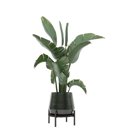 SketchUp模型库丨Vray模型丨植物丨SUBIM002ZW0028