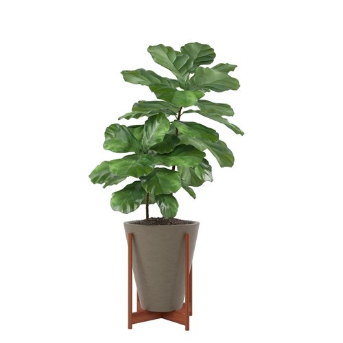 SketchUp模型库丨Vray模型丨植物丨SUBIM002ZW0031