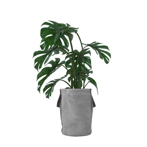 SketchUp模型库丨Vray模型丨植物丨SUBIM002ZW0032