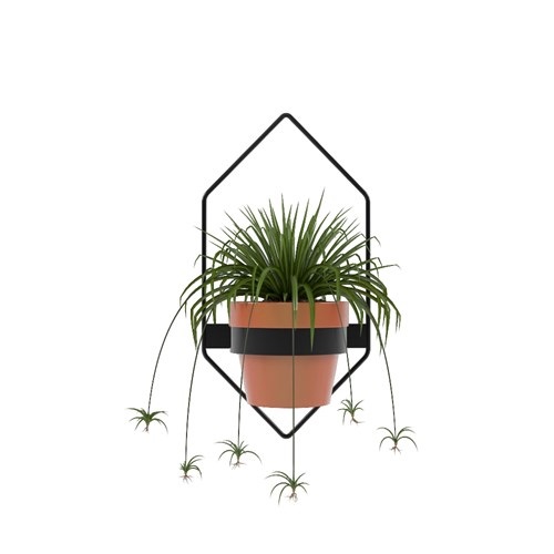 SketchUp模型库丨Vray模型丨植物丨SUBIM002ZW0033