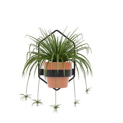 SketchUp模型库丨Vray模型丨植物丨SUBIM002ZW0034