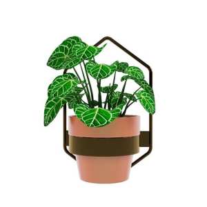 SketchUp模型库丨Vray模型丨植物丨SUBIM002ZW0036