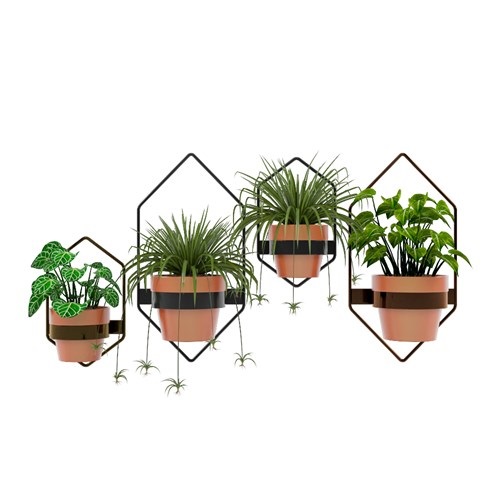 SketchUp模型库丨Vray模型丨植物丨SUBIM002ZW0037