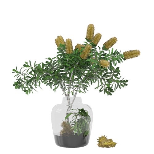SketchUp模型库丨Vray模型丨植物丨SUBIM002ZW0040