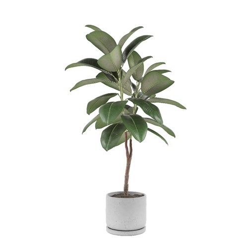 SketchUp模型库丨Vray模型丨植物丨SUBIM002ZW0044