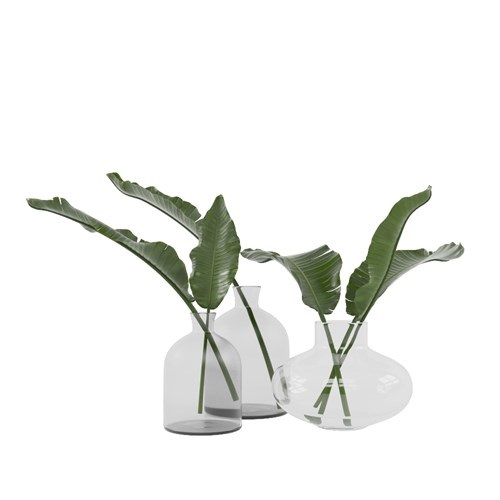 SketchUp模型库丨Vray模型丨植物丨SUBIM002ZW0045