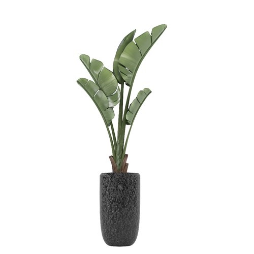 SketchUp模型库丨Vray模型丨植物丨SUBIM002ZW0049