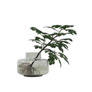 SketchUp模型库丨Vray模型丨植物丨SUBIM002ZW0051