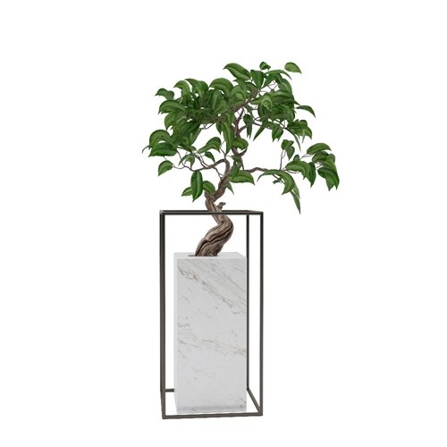 SketchUp模型库丨Vray模型丨植物丨SUBIM002ZW0052