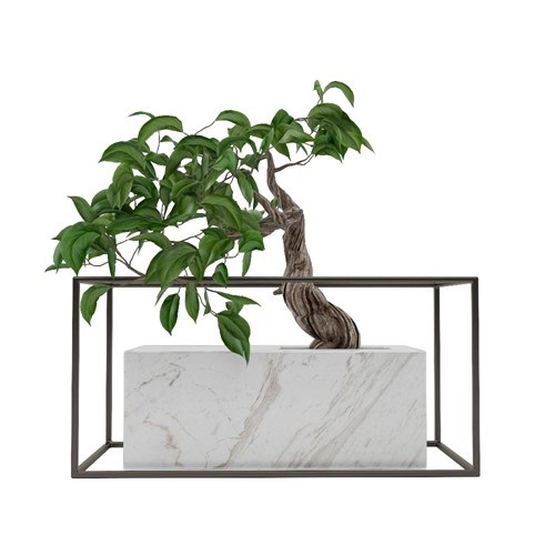 SketchUp模型库丨Vray模型丨植物丨SUBIM002ZW0053