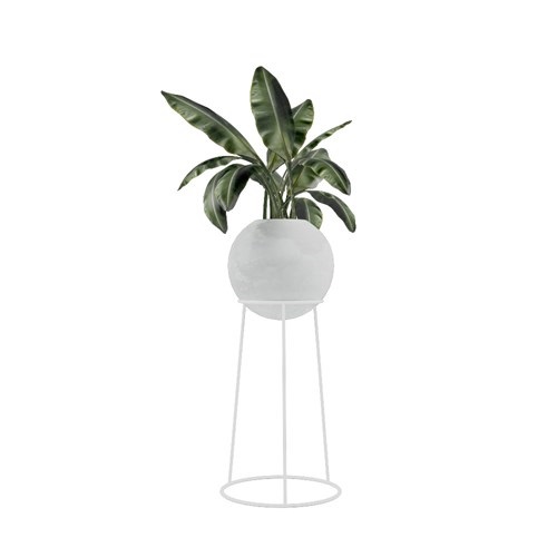 SketchUp模型库丨Vray模型丨植物丨SUBIM002ZW0054