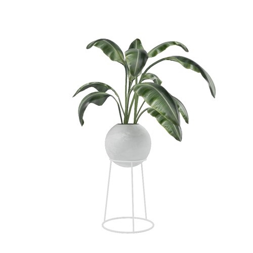 SketchUp模型库丨Vray模型丨植物丨SUBIM002ZW0055