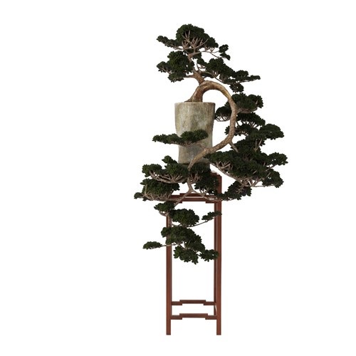 SketchUp模型库丨Vray模型丨植物丨SUBIM002ZW0063