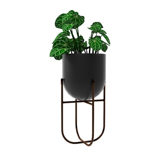 SketchUp模型库丨Vray模型丨植物丨SUBIM002ZW0064