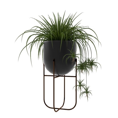 SketchUp模型库丨Vray模型丨植物丨SUBIM002ZW0065