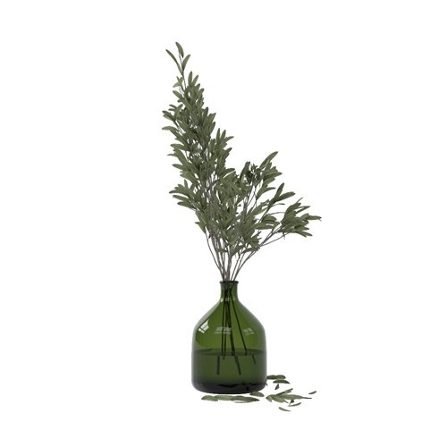 SketchUp模型库丨Vray模型丨植物丨SUBIM002ZW0066
