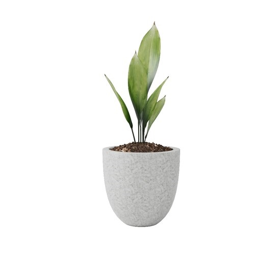 SketchUp模型库丨Vray模型丨植物丨SUBIM002ZW0077