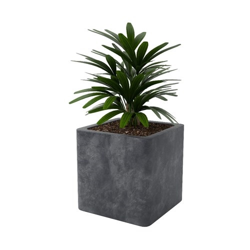 SketchUp模型库丨Vray模型丨植物丨SUBIM002ZW0078