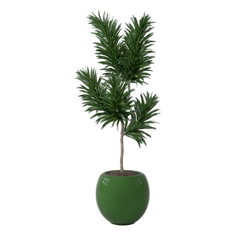 SketchUp模型库丨Vray模型丨植物丨SUBIM002ZW0079