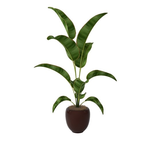 SketchUp模型库丨Vray模型丨植物丨SUBIM002ZW0081
