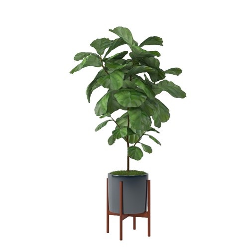 SketchUp模型库丨Vray模型丨植物丨SUBIM002ZW0089