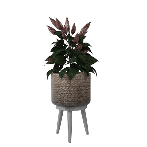SketchUp模型库丨Vray模型丨植物丨SUBIM002ZW0094