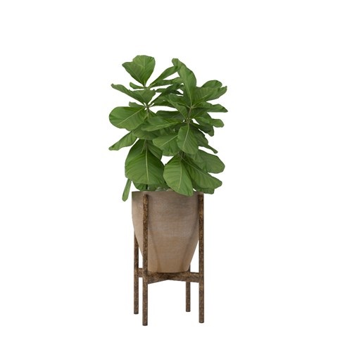 SketchUp模型库丨Vray模型丨植物丨SUBIM002ZW0096