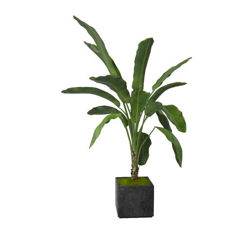 SketchUp模型库丨Vray模型丨植物丨SUBIM002ZW0102