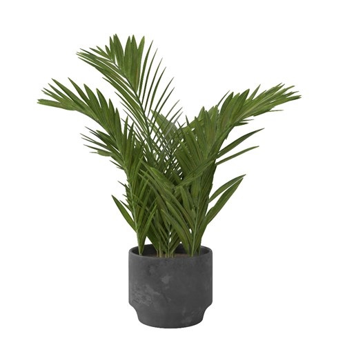 SketchUp模型库丨Vray模型丨植物丨SUBIM002ZW0105