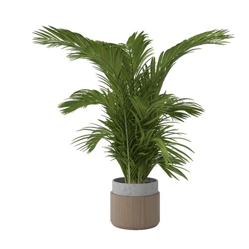 SketchUp模型库丨Vray模型丨植物丨SUBIM002ZW0107