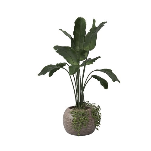 SketchUp模型库丨Vray模型丨植物丨SUBIM002ZW0110