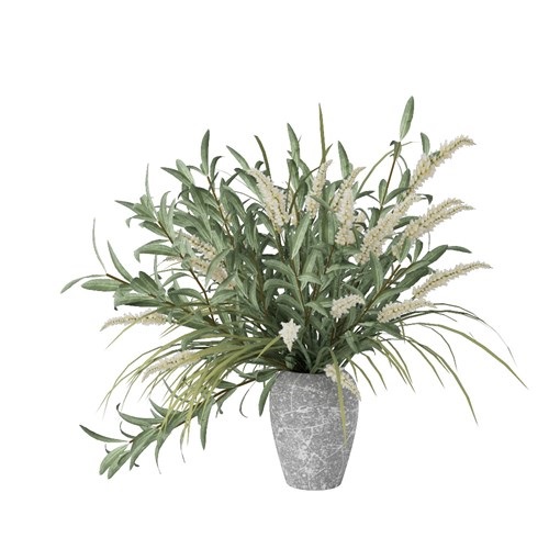 SketchUp模型库丨Vray模型丨植物丨SUBIM002ZW0111