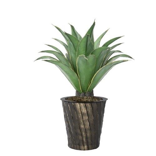 SketchUp模型库丨Vray模型丨植物丨SUBIM002ZW0118