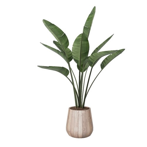 SketchUp模型库丨Vray模型丨植物丨SUBIM002ZW0119