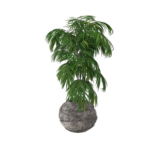SketchUp模型库丨Vray模型丨植物丨SUBIM002ZW0123