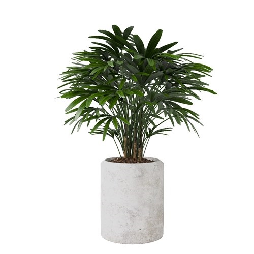 SketchUp模型库丨Vray模型丨植物丨SUBIM002ZW0128