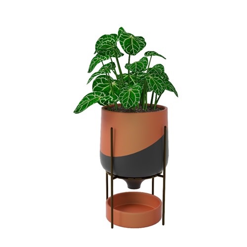 SketchUp模型库丨Vray模型丨植物丨SUBIM002ZW0131