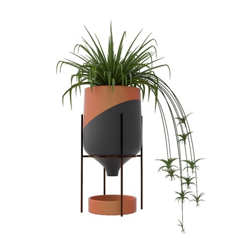 SketchUp模型库丨Vray模型丨植物丨SUBIM002ZW0132