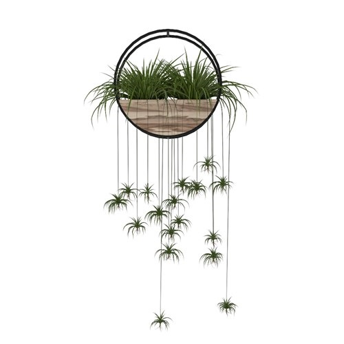 SketchUp模型库丨Vray模型丨植物丨SUBIM002ZW0136