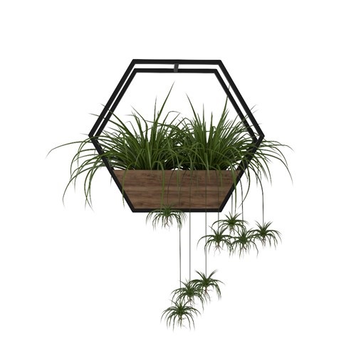 SketchUp模型库丨Vray模型丨植物丨SUBIM002ZW0137