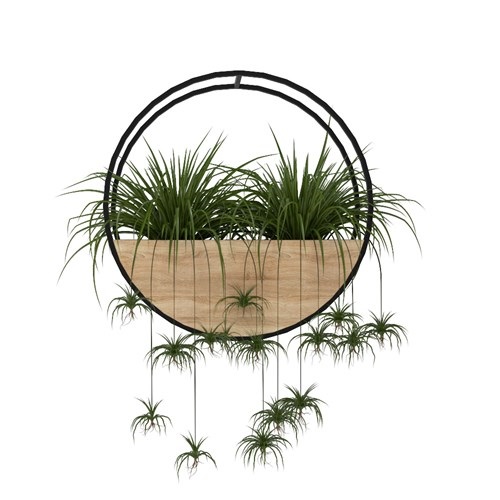 SketchUp模型库丨Vray模型丨植物丨SUBIM002ZW0139