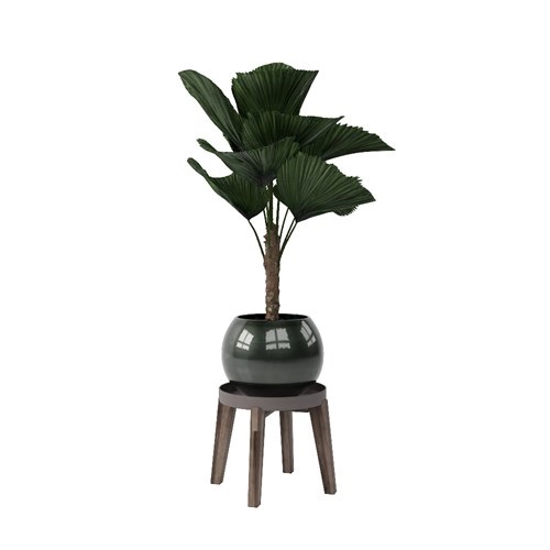 SketchUp模型库丨Vray模型丨植物丨SUBIM002ZW0140