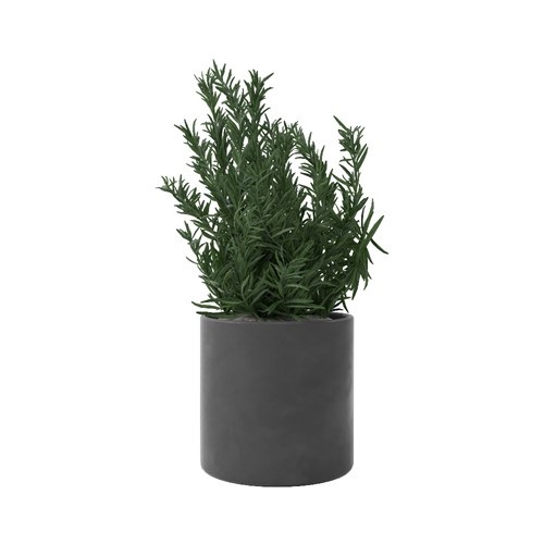 SU模型库丨Vray模型丨植物丨SUBIM099CS0005