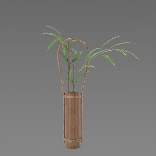 SU模型库丨Vray模型丨植物丨SUBIM099CS0082