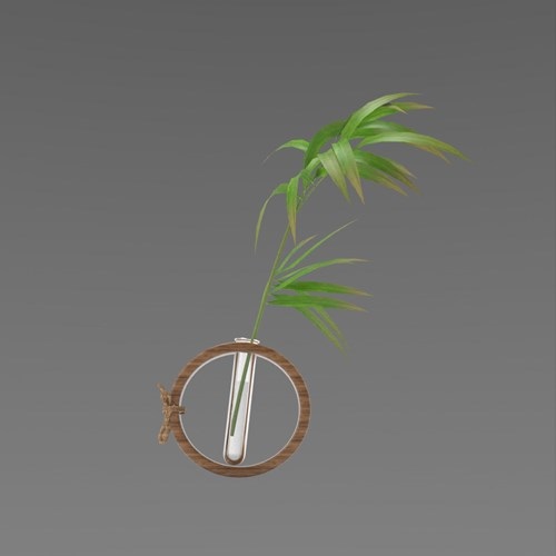 SU模型库丨Vray模型丨植物丨SUBIM099CS0085
